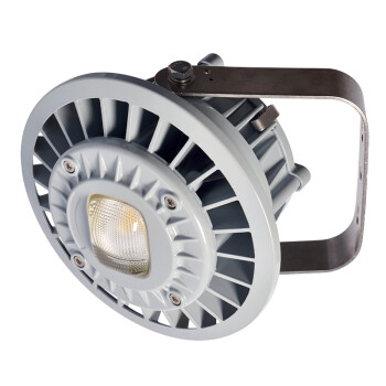 通明电器 TORMIN ZY8607S-L50-200 LED照明灯 厂房仓库车间工矿灯泛光灯三防灯具 支架式50W 可定制
