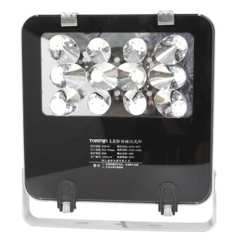 通明电器 TORMIN ZY8101-L60 LED防眩泛光灯 厂房车间仓库工业照明灯具 60W 可定制