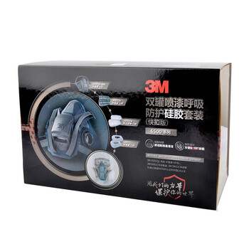 3M防护套装KN95 6502QL尘毒呼吸防护套装+10片滤棉（赠送防化手套一副）企业专享