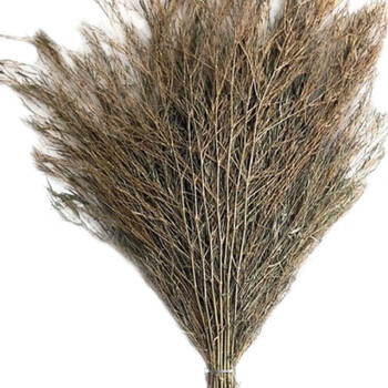 海斯迪克 gnjz-1215 竹子扫把 马路工地扫把 竹竿扫帚2.3斤 10个