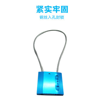 飞尔（FLYER）铝合金钢丝封条 一次性抽紧式安全封条 防盗铅封集装箱施封锁100条【钢丝直径1.5mm】