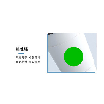 飞尔（FLYER）不干胶分类记号贴 彩色圆点贴 圆点标签颜色贴纸【浅绿色 19MM 一张70枚】50张起批
