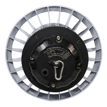 通明电器 TORMIN ZY8502-L200 LED高顶灯 厂房仓库检修库汽机房火车站照明灯具 200W 可定制
