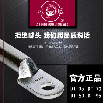 凤凰A级 镀锡DT铜鼻子铜接头电缆堵油 DT-35接线端子 铜线耳 1只