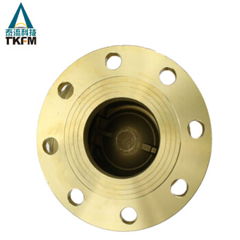 泰流科技 TKFM 止回阀 H41W-16T  DN125