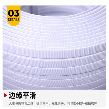 飞尔（FLYER）打包带 pp塑料打包带 手工半自动打包机捆扎带 宽13mm 厚1.1mm 9kg/卷 白色【FLJD091】