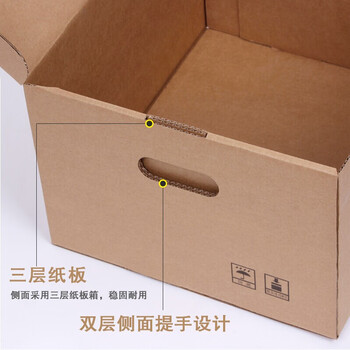 飞尔（FLYER）档案箱 档案收集存放整理收纳箱管理盒 文件书籍整理收纳箱 无酸瓦楞纸【400x345x250mm】