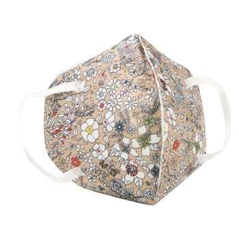 Raxwell儿童KN95口罩PM2.5双层熔喷布3D立体可折叠防尘防雾霾防飞沫独立装15只RX9501K