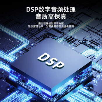 飞利浦（PHILIPS）SD60 (尊享版) 户外广场舞音响 蓝牙大功率便携音箱 K歌演出培训教学扩音器 