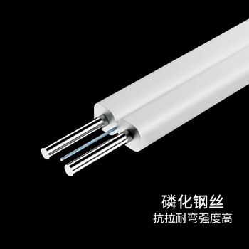 千天（Qantop）GJYXCH-1B 室外1芯3钢丝 5.0皮线光纤线 黑色500米