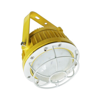 奇辰（QICHEN）LED防爆巷道灯 15W 白光 QC-FB001-A-III