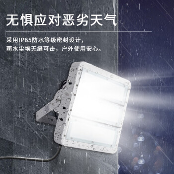 贝工 LED大功率模组投光灯/泛光灯 户外防水IP65 100W 白光 盾系列BG-SDD-100B