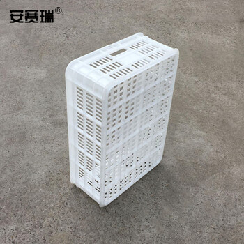 安赛瑞 塑料浅口周转筐 超市配送冷库工厂收纳物流储物箱 60×40×18cm 白色 28315