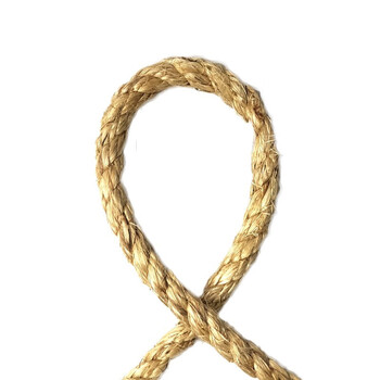 飞尔（FLYER）白棕绳麻绳 50kg起订 剑麻麻绳 工业麻绳 物流麻绳 【Φ10mm 重110g/m】