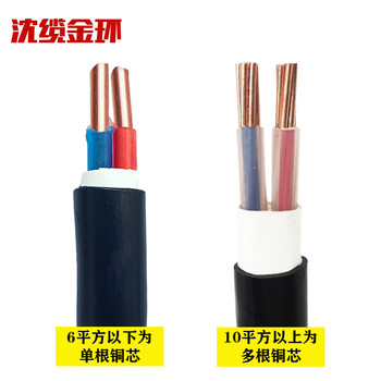 沈缆金环 ZR-YJV-0.6/1KV-2*16mm² 国标铜芯阻燃电力电缆 1米