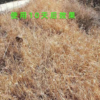 鲸彩蔚蓝 滴酸 草甘膦除草剂 5kg/桶