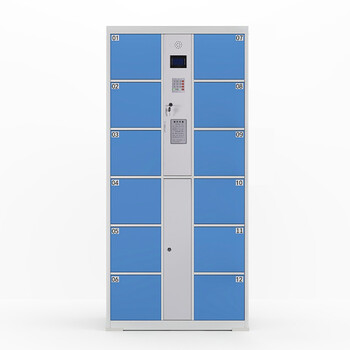 知旦 12门密码存储柜 工厂单位智能自助电子存包柜寄存柜储物柜 CB-12M