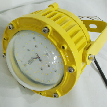 奇辰（QICHEN）LED防爆巷道灯 20W 白光 QC-FB001-A-V
