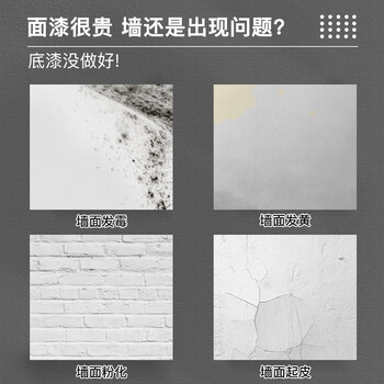 阿斯密 ASMES ASN360 净味抗碱防霉内墙底漆 水性环保内墙涂料白色 20kg