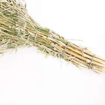 庄太太 木杆大扫把1把装 手工竹扫帚户外环卫竹笤帚扫把ZTT-9106