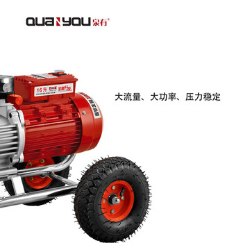 泉有（quanyou）无气喷涂机 QY-99B隔膜式3000W无刷电动高压无气喷涂机乳胶漆多功能小型涂料油漆喷漆