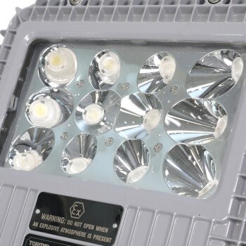 通明电器 TORMIN BC9101A-L25-15  LED防爆泛光灯 照明25W+应急15W 120分钟 326×370×88mm (单位：套) 