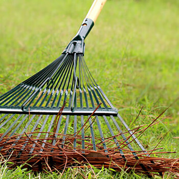 庄太太【加大加宽22齿耙头+1.2米不锈钢伸缩】户外落叶草坪钢丝搂草耙子