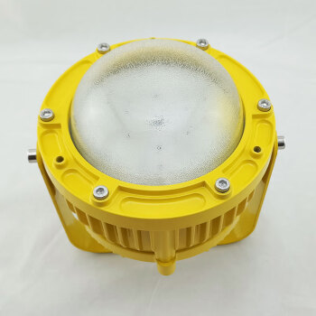 奇辰（QICHEN）LED防爆巷道灯 50W 白光 QC-FB001-A-IV