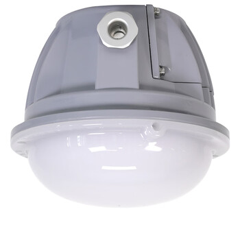 通明电器 TORMIN BC9200-L12 免维护节能防爆灯 12W 可定制 φ150×140mm