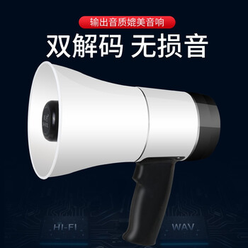 坚冠 扩声器 增强款913L 可插内存卡录音蓝牙无线喊话器 USB接口充电可拆卸电池 录音器 扩声喇叭 小型喇叭