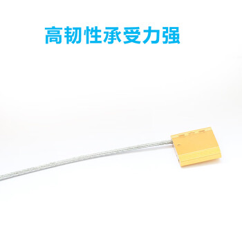 飞尔（FLYER）铝合金钢丝封条 一次性抽紧式安全封条 防盗铅封集装箱施封锁100条【钢丝直径1.5mm】