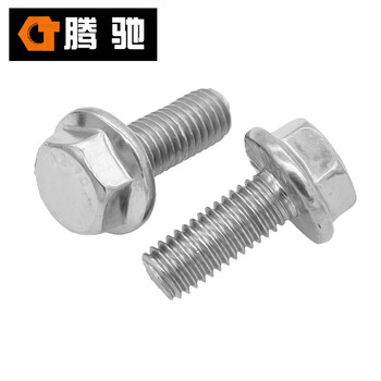 腾驰 CT 304 加大六角法兰螺栓（花齿） GB5789 不锈钢六角螺栓 M6*10（600支/盒）