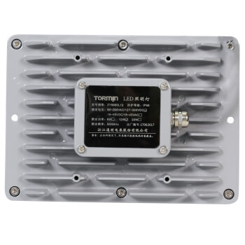 通明电器 TORMIN ZY8800-L20 LED照明灯 控制室夹层门厅廊道楼梯间小功率泛光灯具 20W 可定制