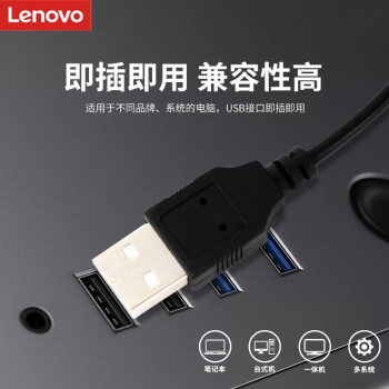 联想（Lenovo）有线键盘鼠标套装 键鼠套装 全尺寸键盘 商务办公 MK11Lite