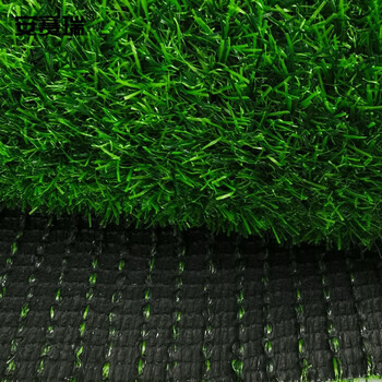安赛瑞 仿真草坪 人造塑料假草坪2×10m幼儿园楼顶阳台假草皮市政绿化公园装饰人工假草坪2cm网格 700587