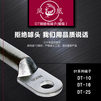 凤凰A级 镀锡DT铜鼻子铜接头电缆堵油DT-10 接线端子 铜线耳 1只