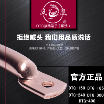 凤凰A级 紫铜铜鼻子电线电缆铜接头 DTG-300（A级）酸洗接线端子 1只