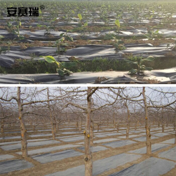 安赛瑞 黑色地膜 塑料薄膜蔬菜保温农用除草膜 约1.2×458m 厚0.01mm 毛重5kg 530258