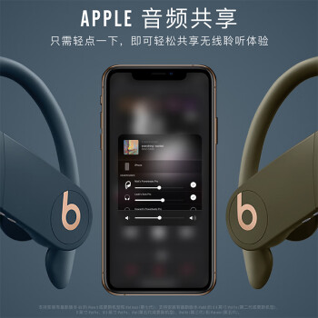 beats Beats Powerbeats Pro 完全无线高性能耳机 真无线蓝牙运动耳机 海军蓝