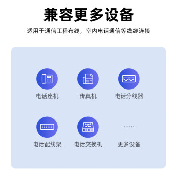 山泽 6P2C电话水晶头 2芯工程级镀金语音电话线接头 RJ11电话语音水晶头 100个 SJT-32100