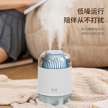 海纳斯（HANASS）加湿器双喷头小型办公室桌面大容量家用低音卧室宿舍充电便携空气加湿喷雾夜灯空调伴侣加湿器D12