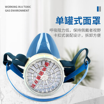 地球 2004 4号防毒面罩 防氯化铵 硫化氢防毒半面具面罩 蓝 均码