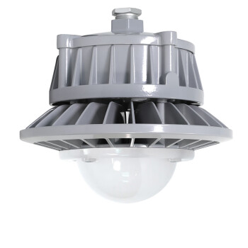 通明电器 TORMIN ZY8607P-L50-100 LED照明灯 厂房仓库车间工矿灯泛光灯三防灯具 光束角100度50W