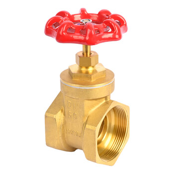 匡建仪表（CONJANT）铜截止阀 加厚黄铜 硬密封低进高出饱和蒸汽高温高压自来水阀门单向截门 DN50 