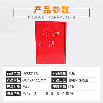 鲁强消防 LUQIANGFIRE 消防器材 消火栓箱铁皮款款 800*650*220 一个价
