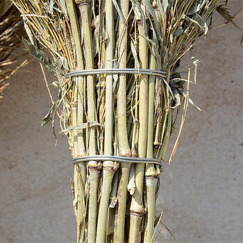 卫洋 大扫把 5斤左右 学校工厂环卫马路物业柏油道路清洁大号竹柄笤帚扫帚手工竹扫把 1个装 WY-002