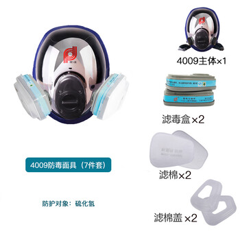 普达防毒面具 MJ-4009全面罩配P-H2S-1(8号)滤盒七件套 有色金属采矿