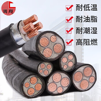 国超电缆 WDZ-YJY-0.6/1KV-3*120+2*70铜芯国标阻燃低烟无卤3+2芯环保电缆1米【现货】
