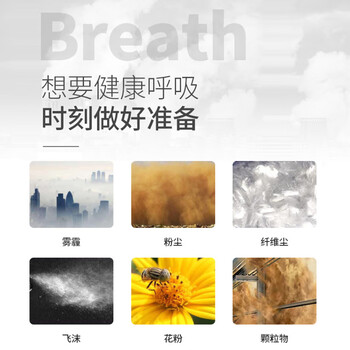 一护 KN95带呼吸阀口罩 防尘防颗粒物呼吸器 防异味雾霾汽车尾气 30支装 6002V