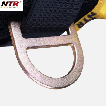 耐特尔NTR BK04款五点式安全带全身式坠落悬挂高空作业工作定位安全带含护腰护垫NFPHBK04定做 1条